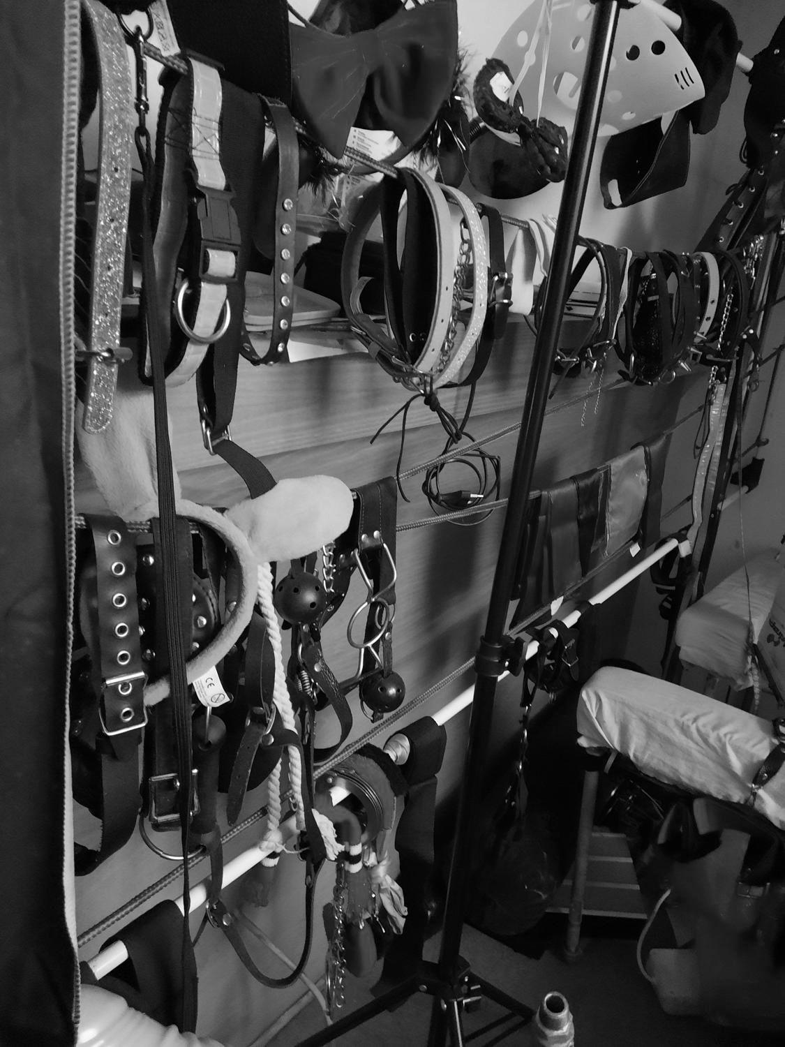 Krieger_und_nolo MYM