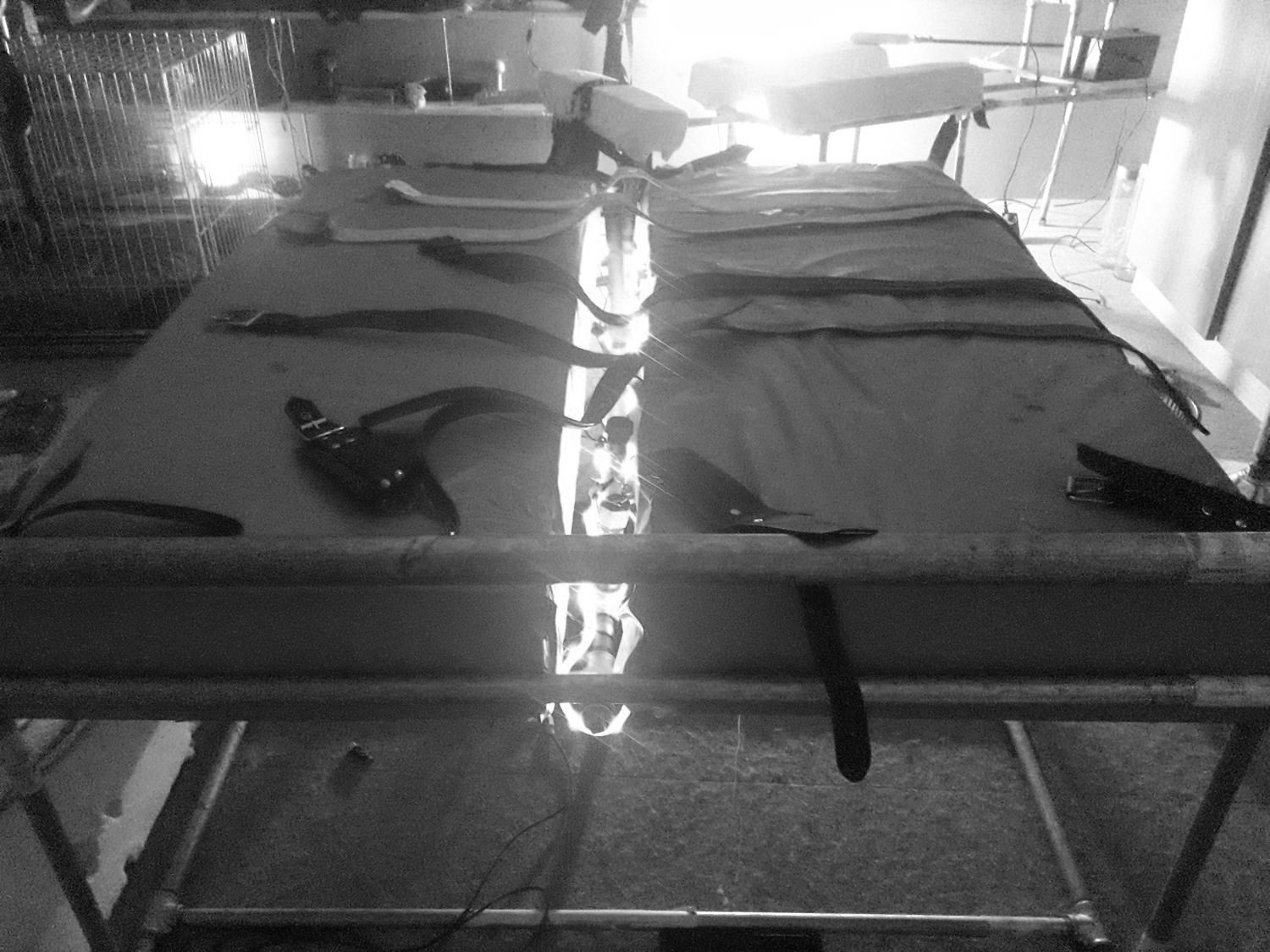 Krieger_und_nolo MYM