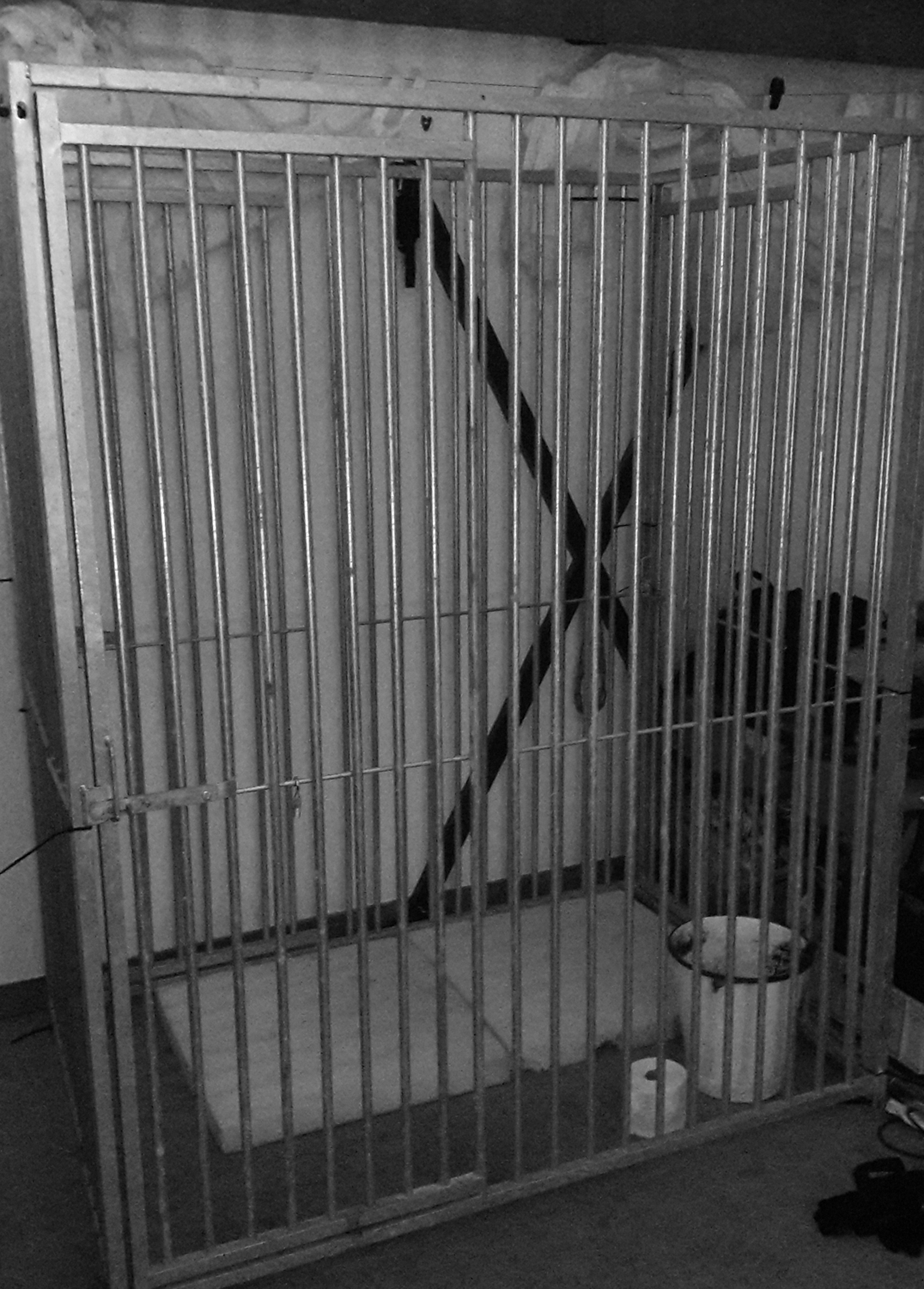 Krieger_und_nolo MYM