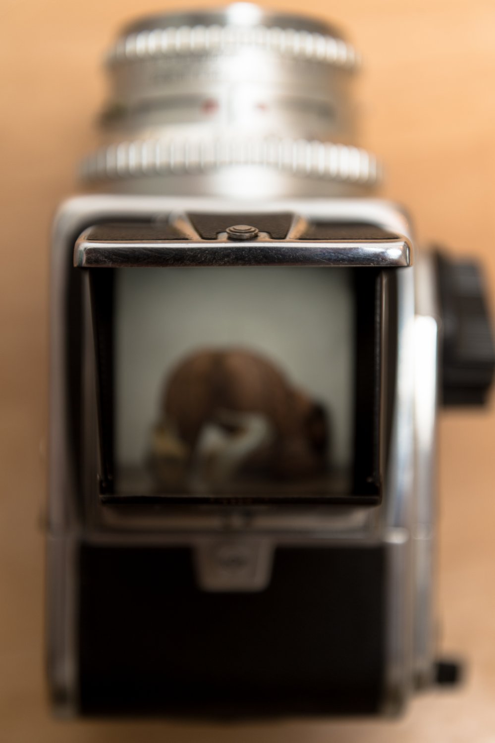 Natachaluxure_anal_sexy_pornostar MYM