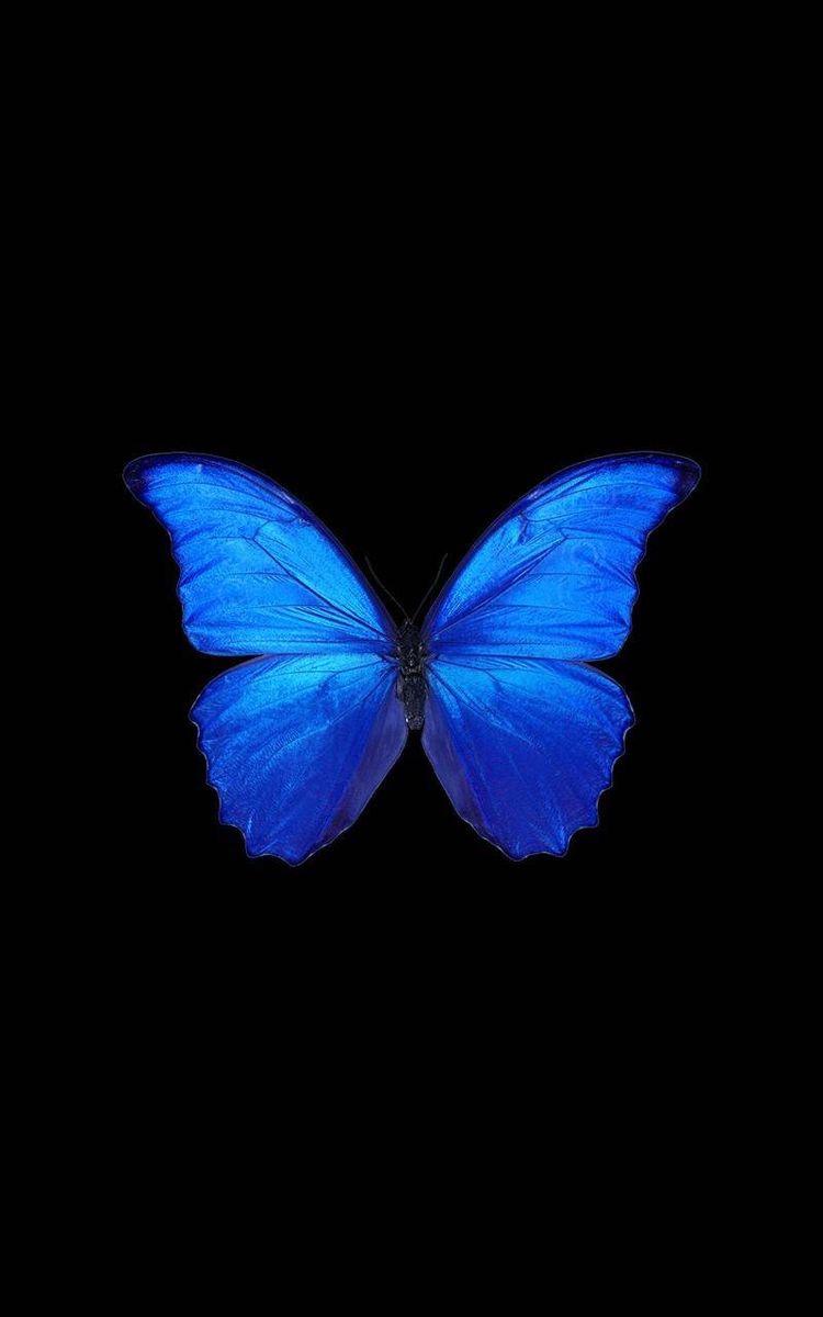 Natachaluxure_anal_sexy_pornostar MYM