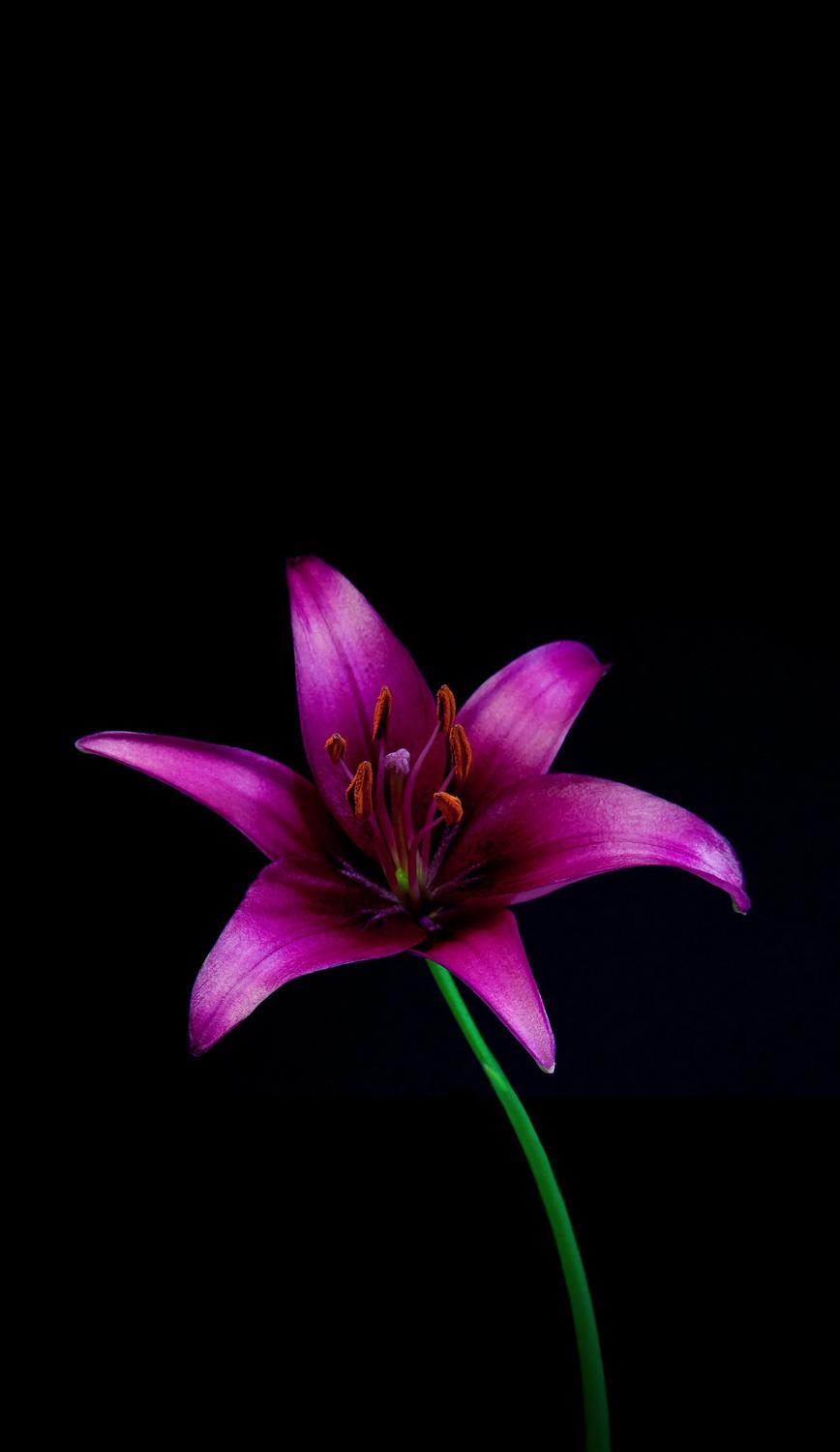 Natachaluxure_anal_sexy_pornostar MYM